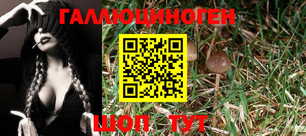 Галлюциногенные грибы Magic Shrooms Россия