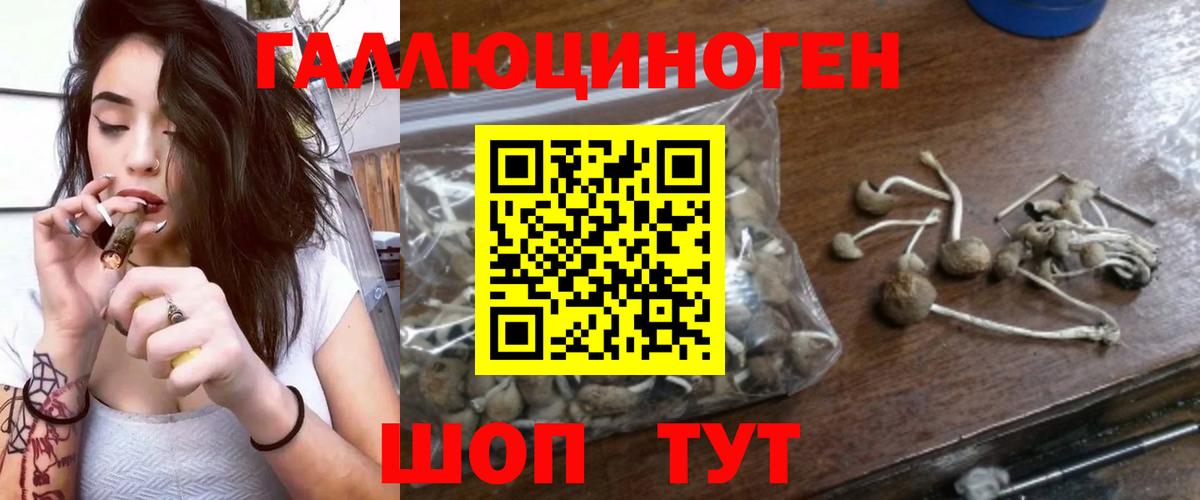 Галлюциногенные грибы GOLDEN TEACHER  Вход с VPN  Россия  Псилоцибиновые грибы мицелий 
