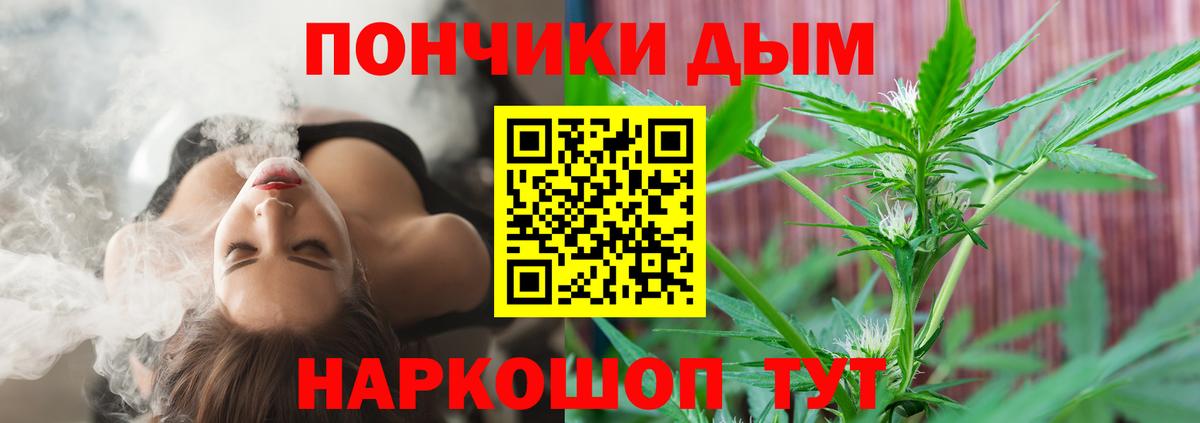 Россия  Бошки марихуана тримм  Каннабис индика  Вход с VPN  Марихуана марихуана  Бошки Шишки LSD WEED 